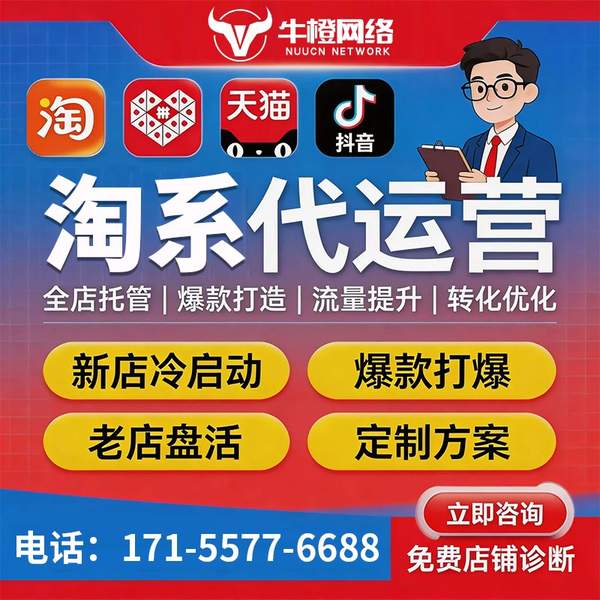 阜新电商代运营