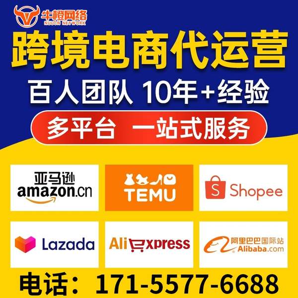 阜新电商代运营