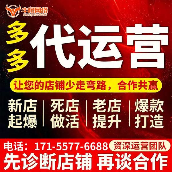 阜新电商代运营