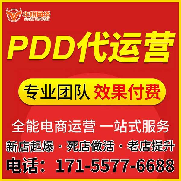 阜新电商代运营