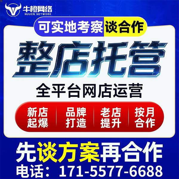 阜新电商代运营