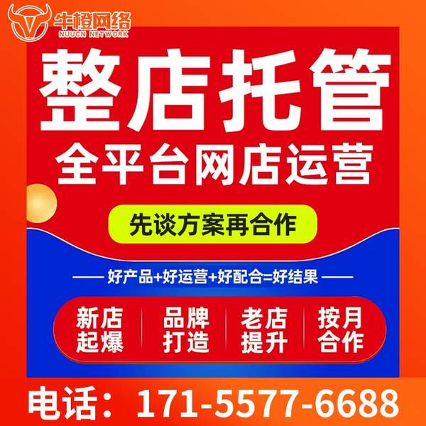 阜新电商代运营