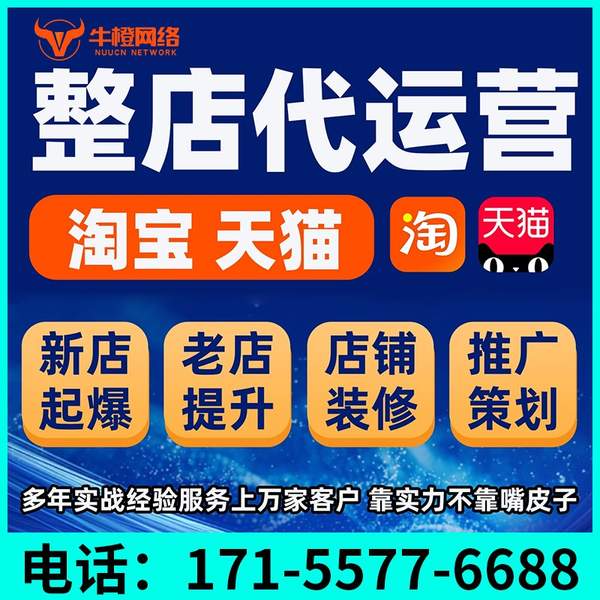 阜新电商代运营