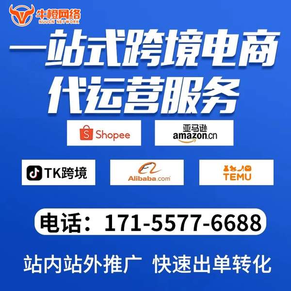 阜新电商代运营