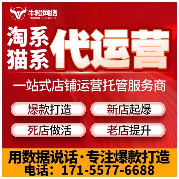 阜新电商代运营